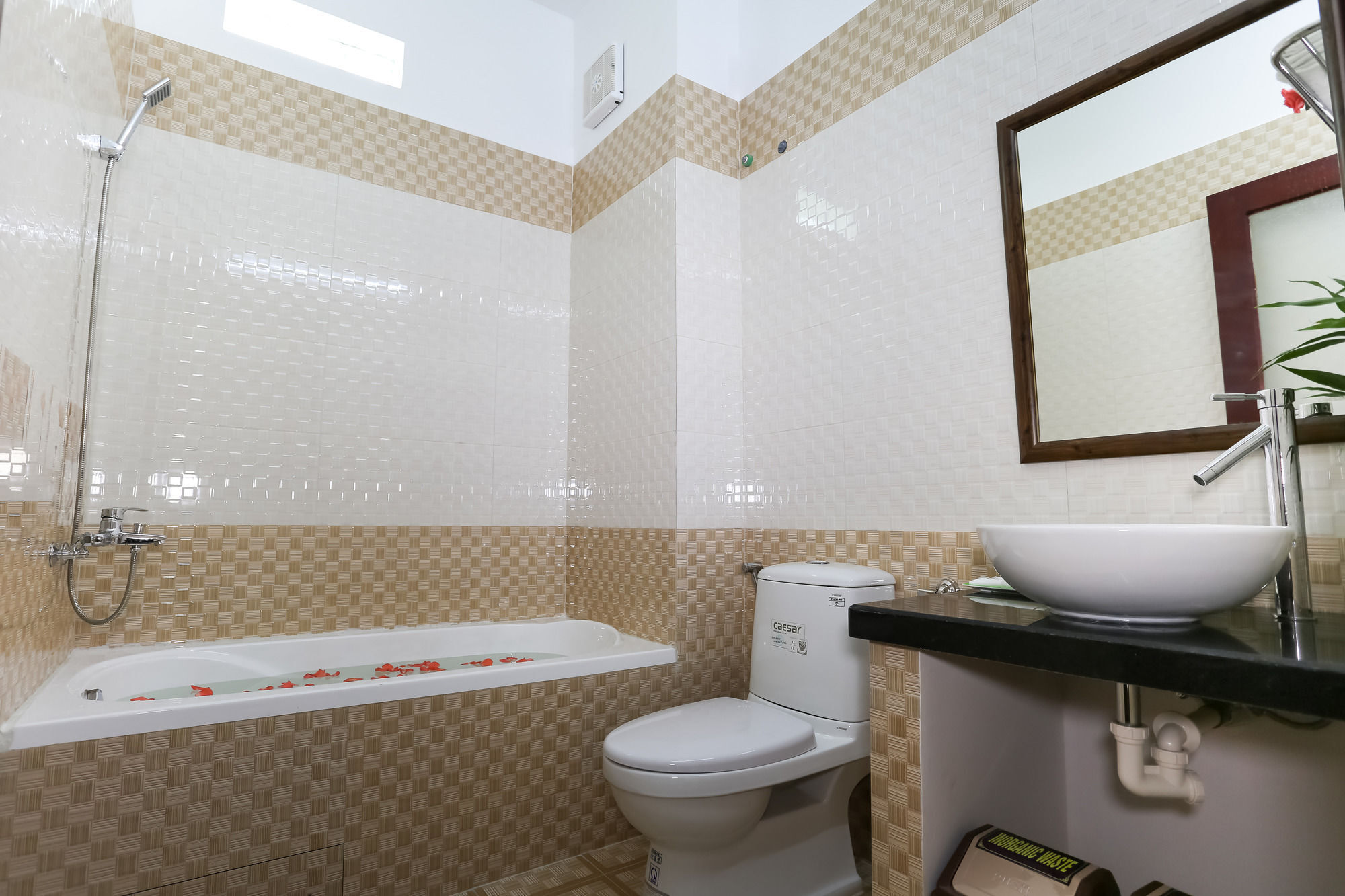 Phoenix Homestay Χόι Αν Εξωτερικό φωτογραφία